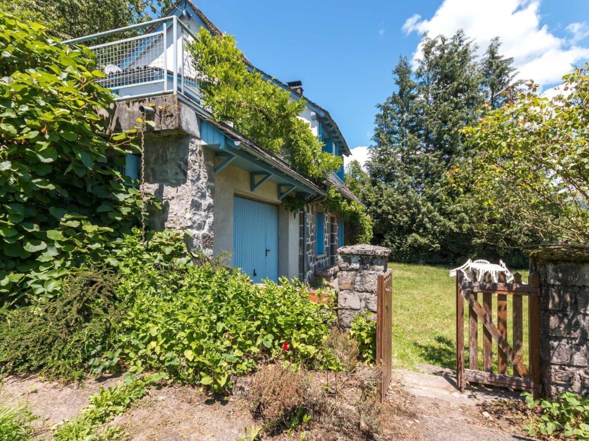 Beautiful Villa In The Parc Des Volcans D Auvergne Vic sur Cere Bagian luar foto