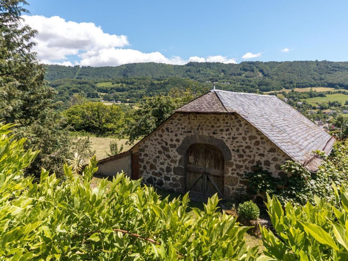 Beautiful Villa In The Parc Des Volcans D Auvergne Vic sur Cere Bagian luar foto