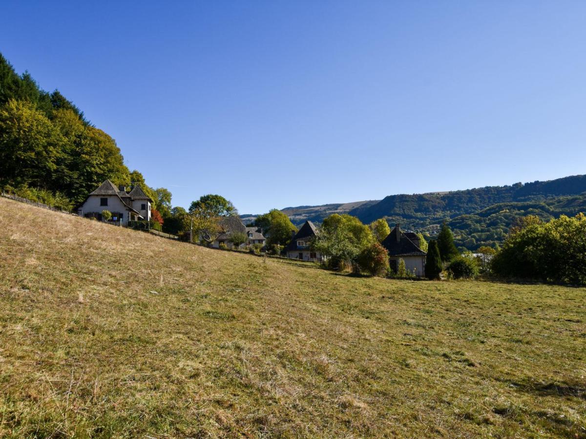 Beautiful Villa In The Parc Des Volcans D Auvergne Vic sur Cere Bagian luar foto