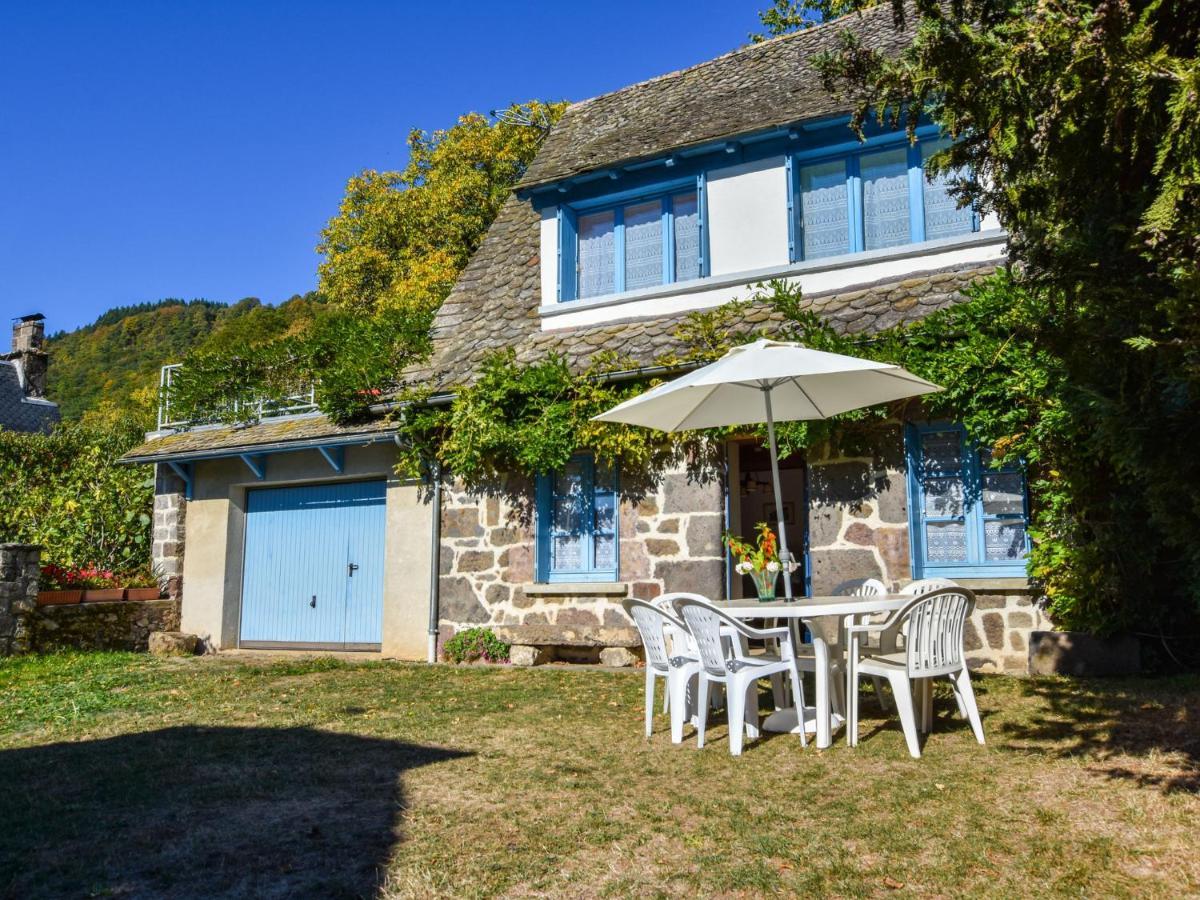 Beautiful Villa In The Parc Des Volcans D Auvergne Vic sur Cere Bagian luar foto
