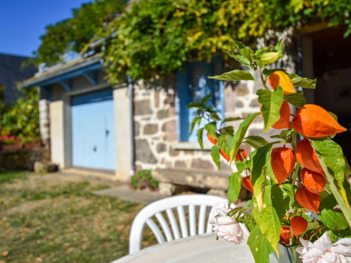 Beautiful Villa In The Parc Des Volcans D Auvergne Vic sur Cere Bagian luar foto